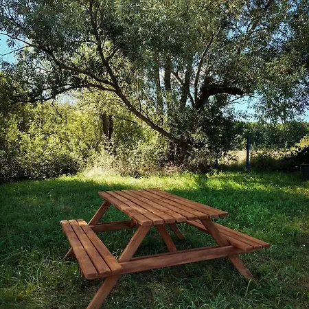 Uroczy Z Kinem Pod Gwiazdami * Stepnica